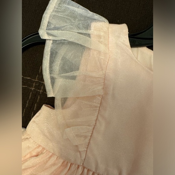 Nordstrom Pink 9 months baby girl  fancy dress NWT - Picture 3 of 5